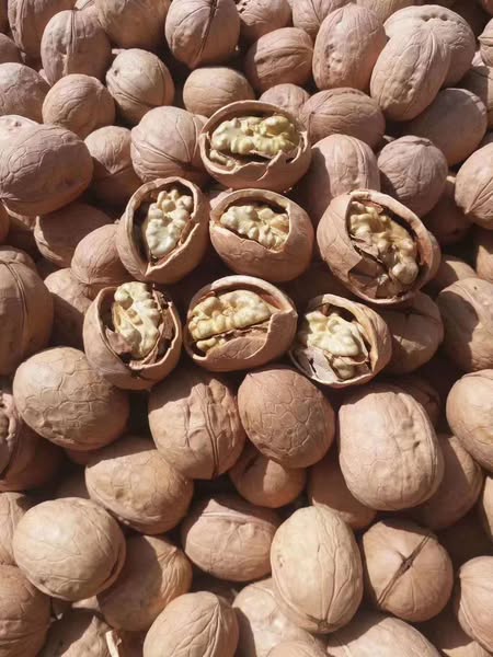 Walnut kernels from Xinjiang